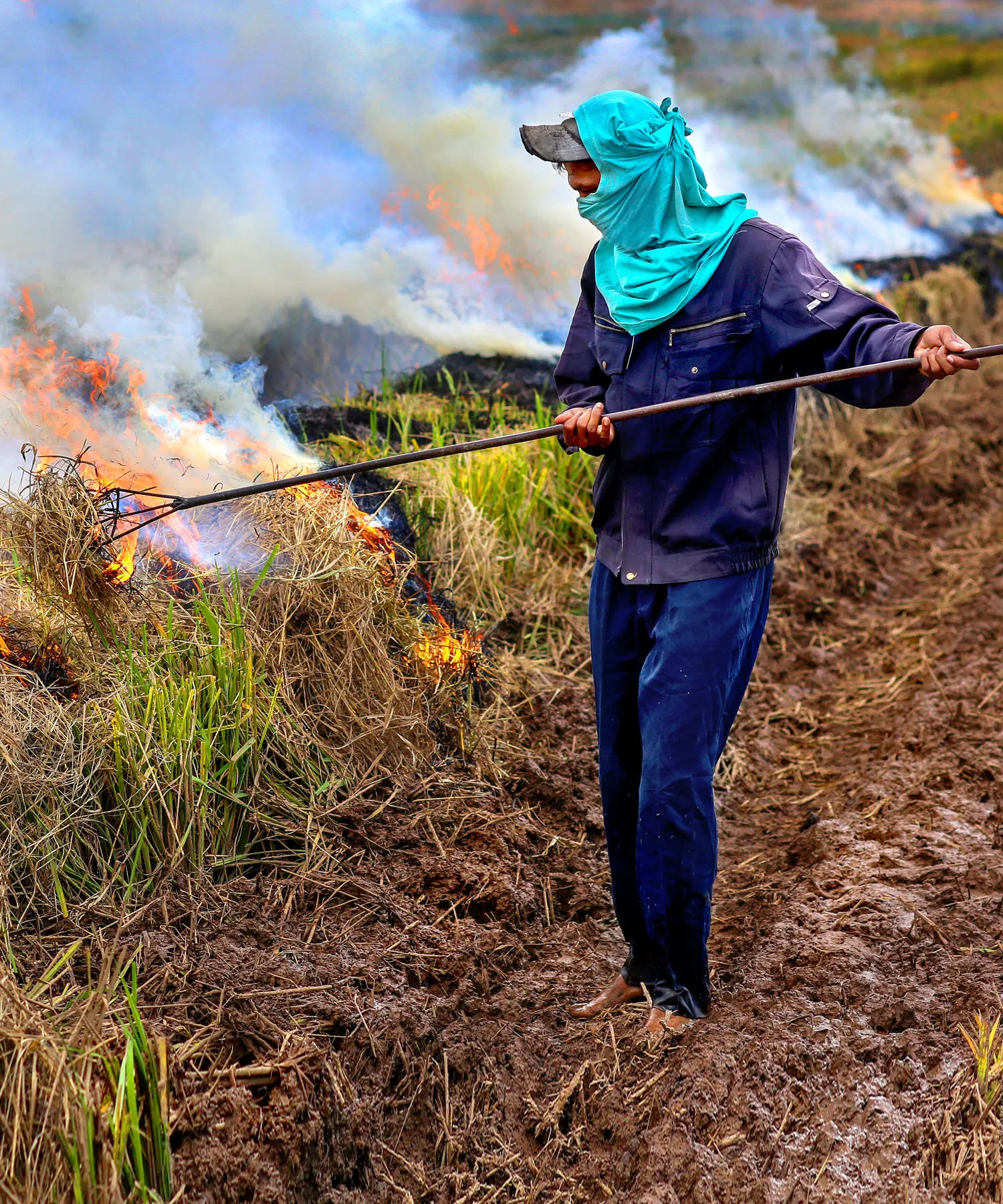 A rice farmer burns rice stubble.