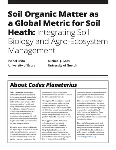 Paper cover image