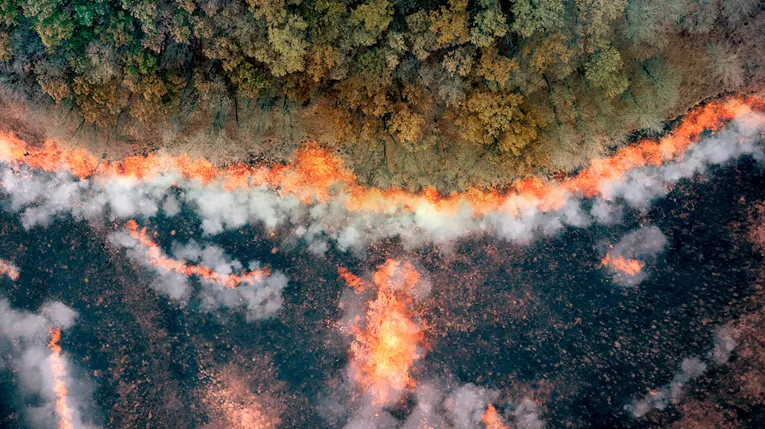 Aerial view of a rainforest burning.